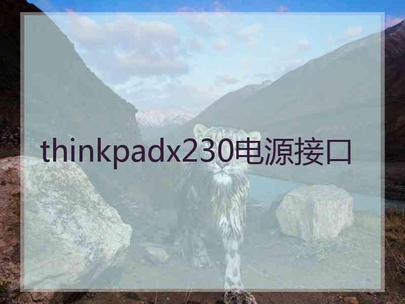 thinkpadx230电源接口