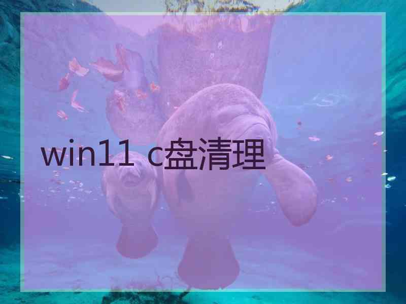 win11 c盘清理