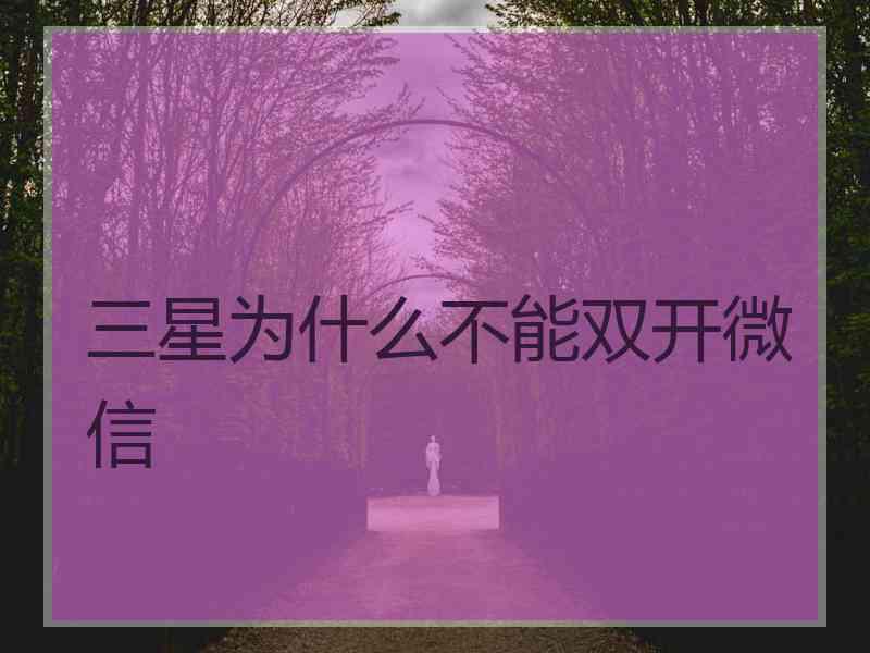 三星为什么不能双开微信