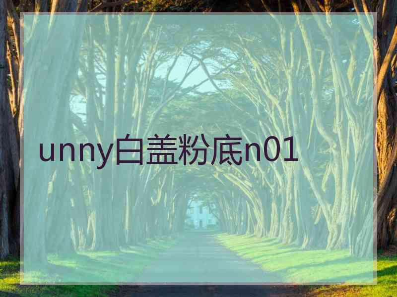 unny白盖粉底n01