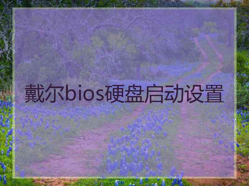 戴尔bios硬盘启动设置