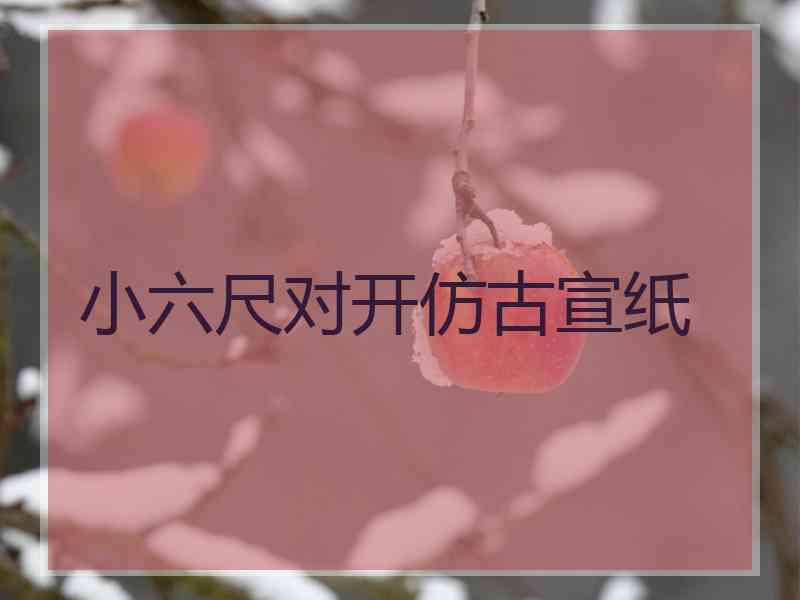 小六尺对开仿古宣纸