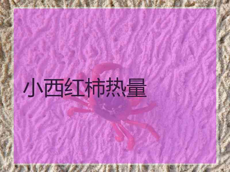 小西红柿热量