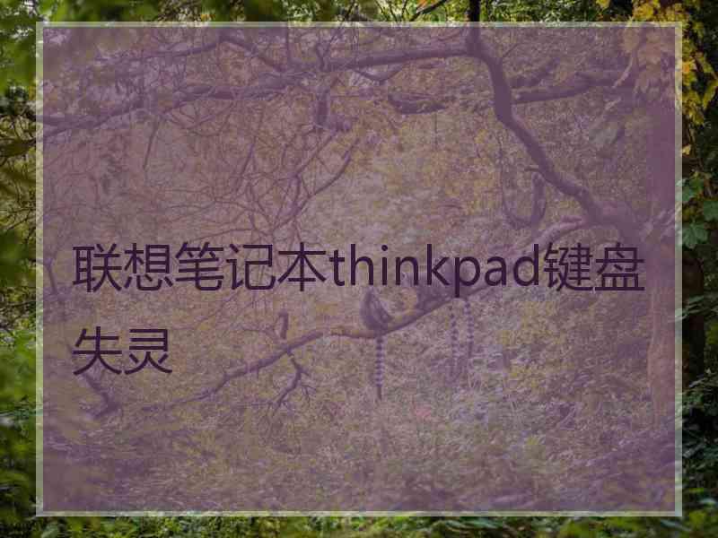 联想笔记本thinkpad键盘失灵