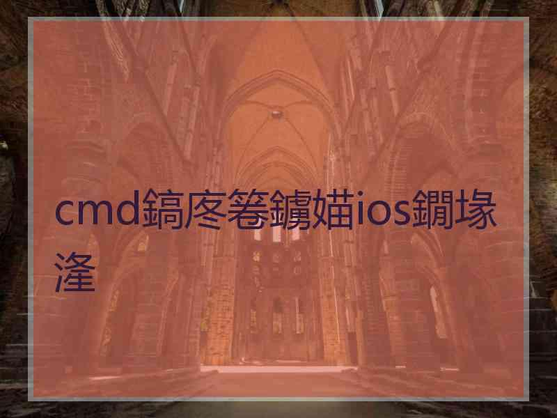 cmd鎬庝箞鐪媌ios鐗堟湰