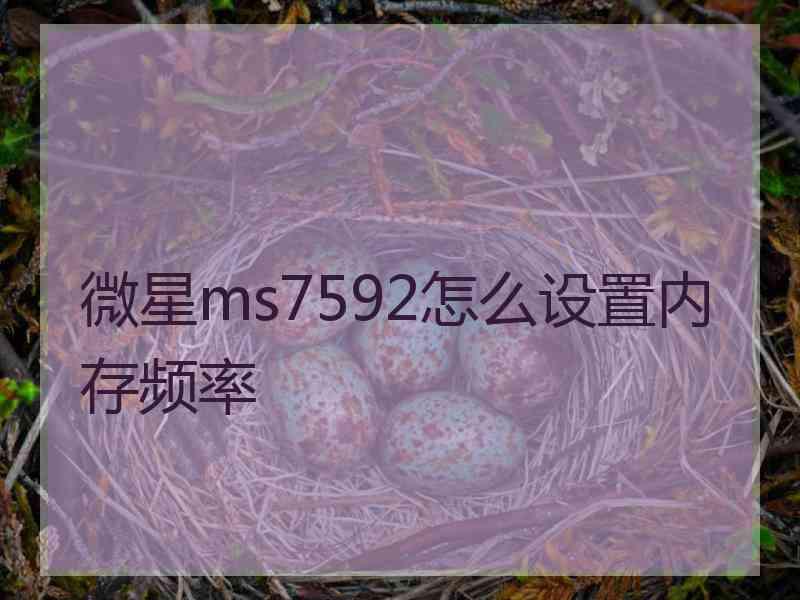 微星ms7592怎么设置内存频率