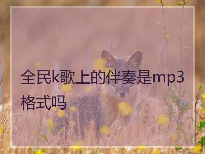 全民k歌上的伴奏是mp3格式吗