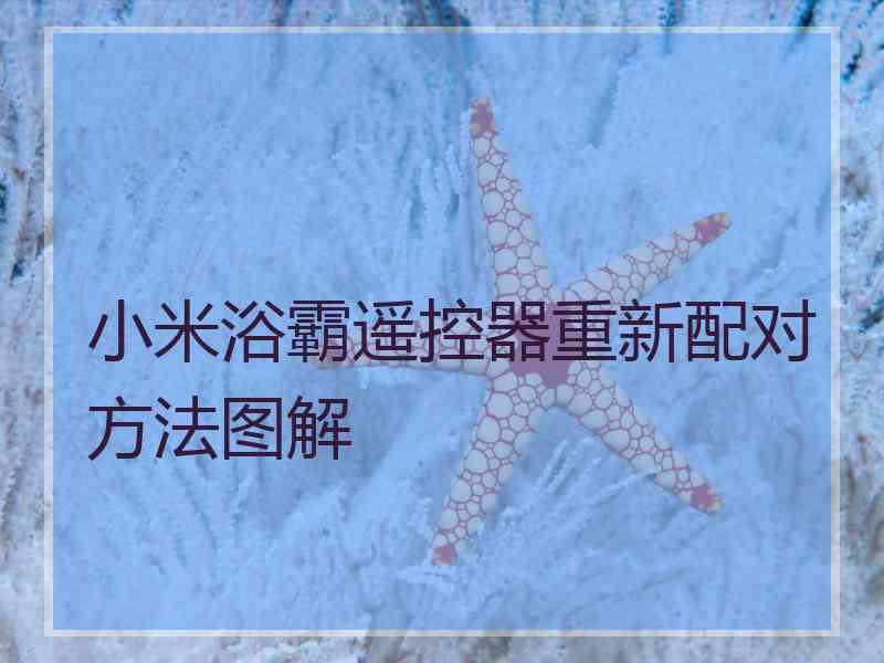 小米浴霸遥控器重新配对方法图解