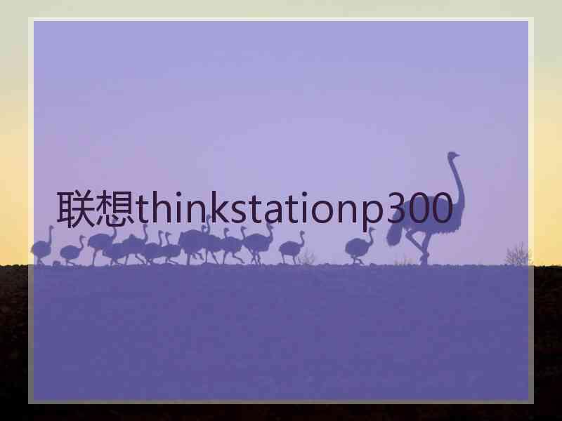 联想thinkstationp300