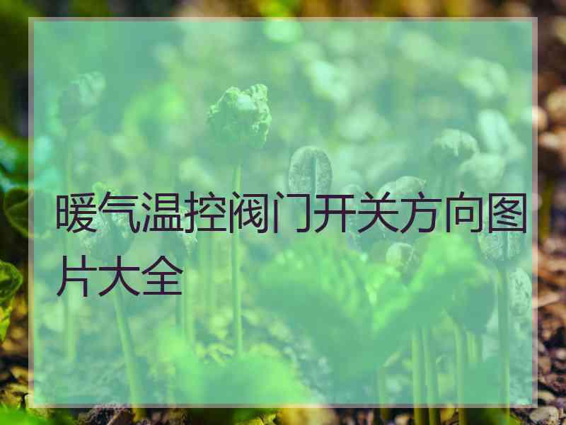 暖气温控阀门开关方向图片大全