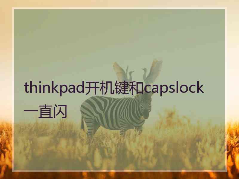 thinkpad开机键和capslock一直闪