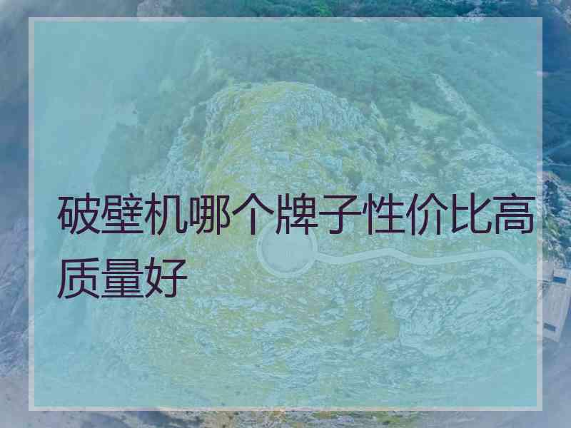 破壁机哪个牌子性价比高质量好