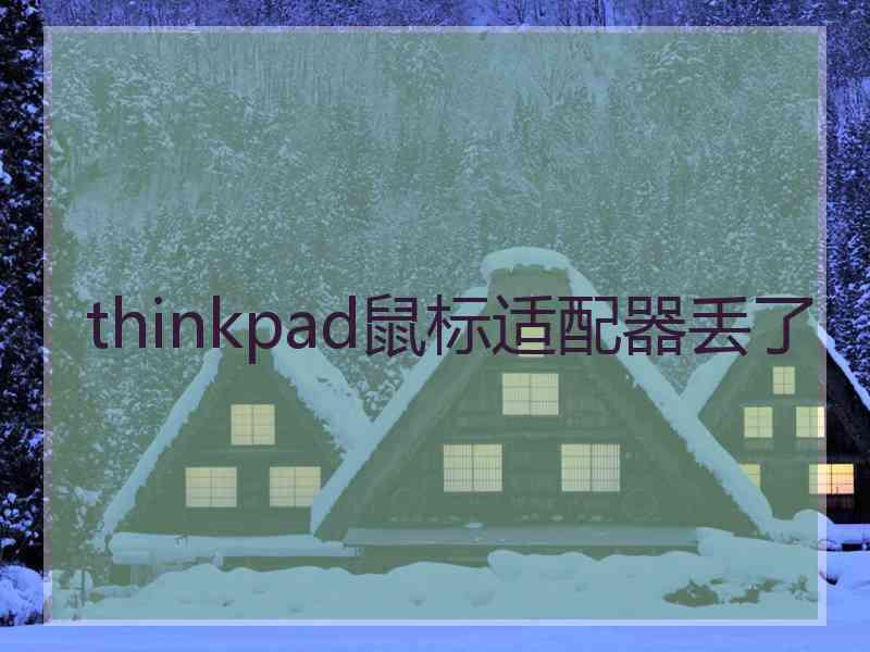 thinkpad鼠标适配器丢了