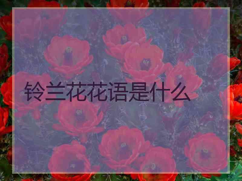 铃兰花花语是什么