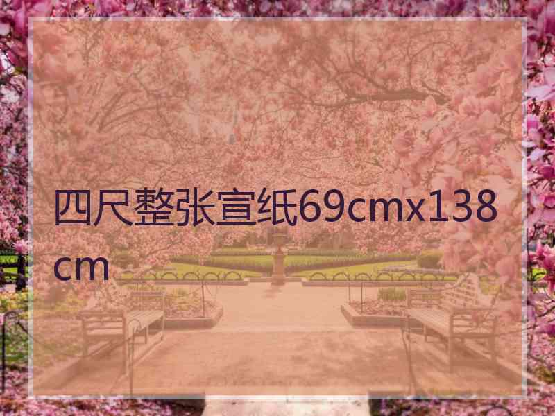 四尺整张宣纸69cmx138cm