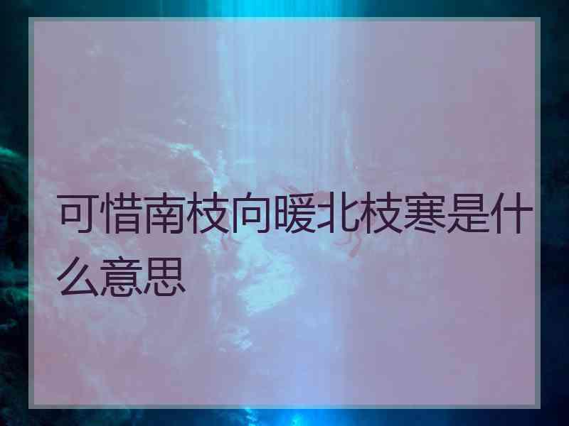 可惜南枝向暖北枝寒是什么意思