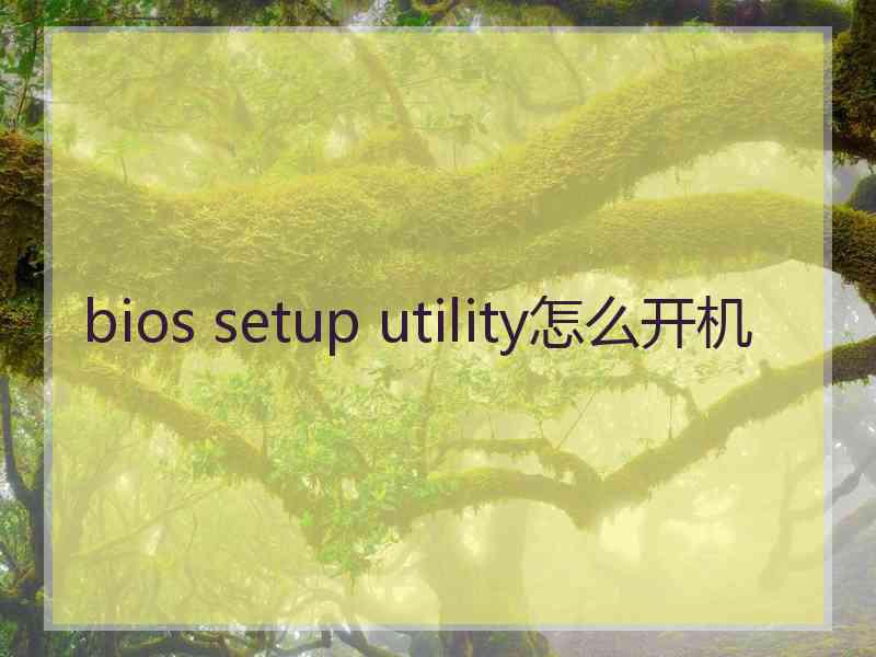 bios setup utility怎么开机