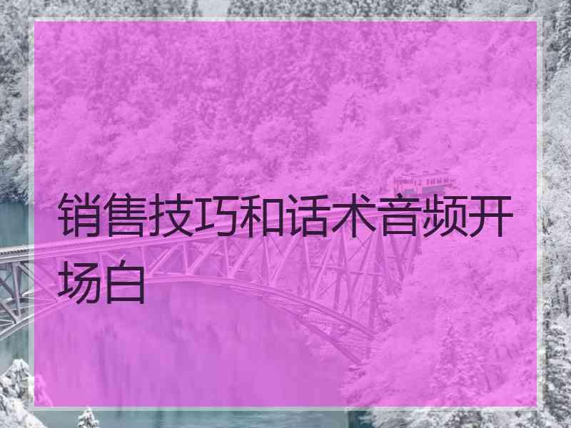 销售技巧和话术音频开场白