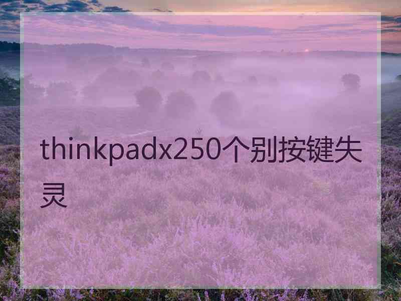 thinkpadx250个别按键失灵