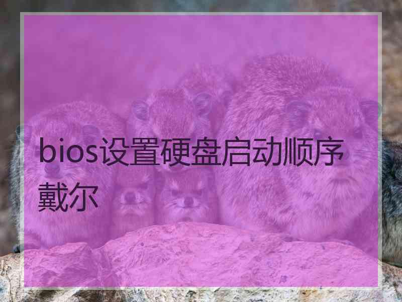 bios设置硬盘启动顺序戴尔