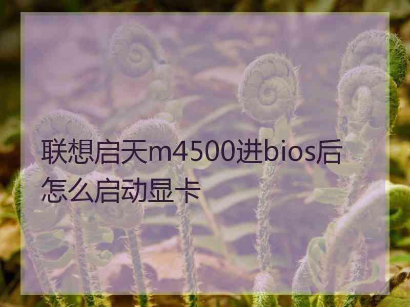 联想启天m4500进bios后怎么启动显卡