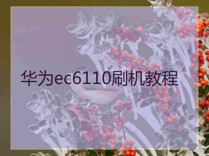 华为ec6110刷机教程