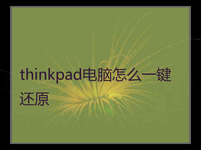 thinkpad电脑怎么一键还原