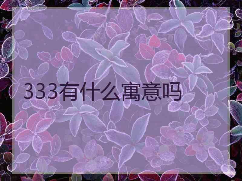 333有什么寓意吗