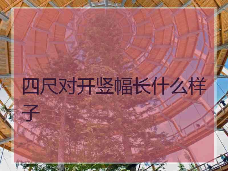 四尺对开竖幅长什么样子