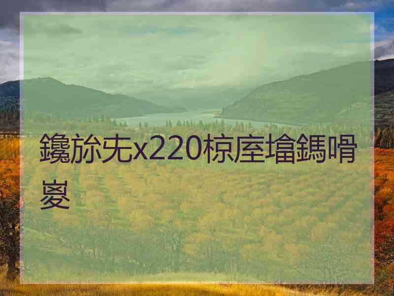 鑱旀兂x220椋庢墖鎷嗗嵏