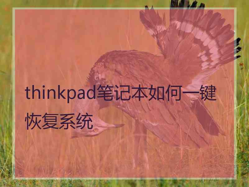 thinkpad笔记本如何一键恢复系统