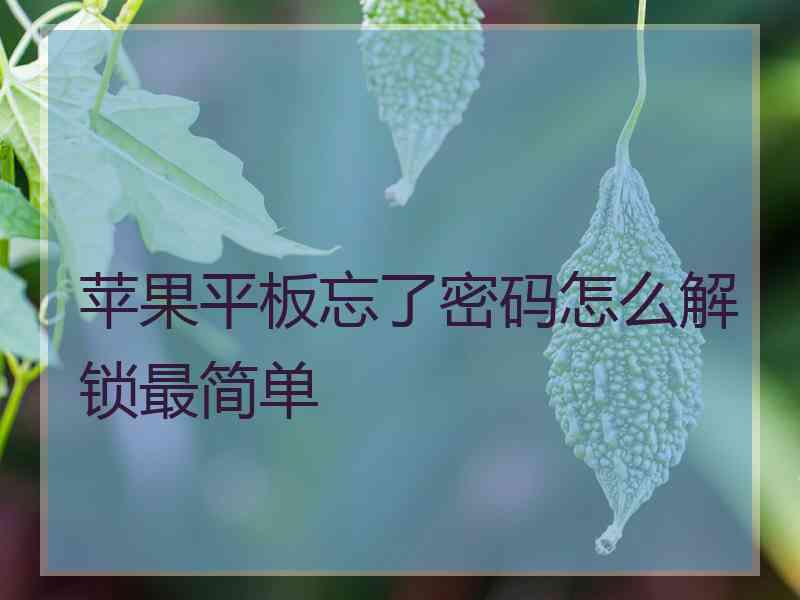 苹果平板忘了密码怎么解锁最简单