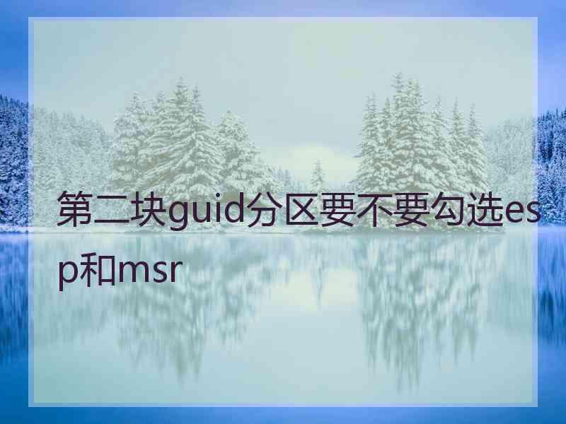 第二块guid分区要不要勾选esp和msr