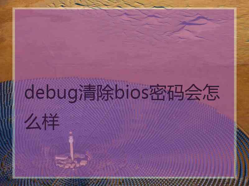 debug清除bios密码会怎么样