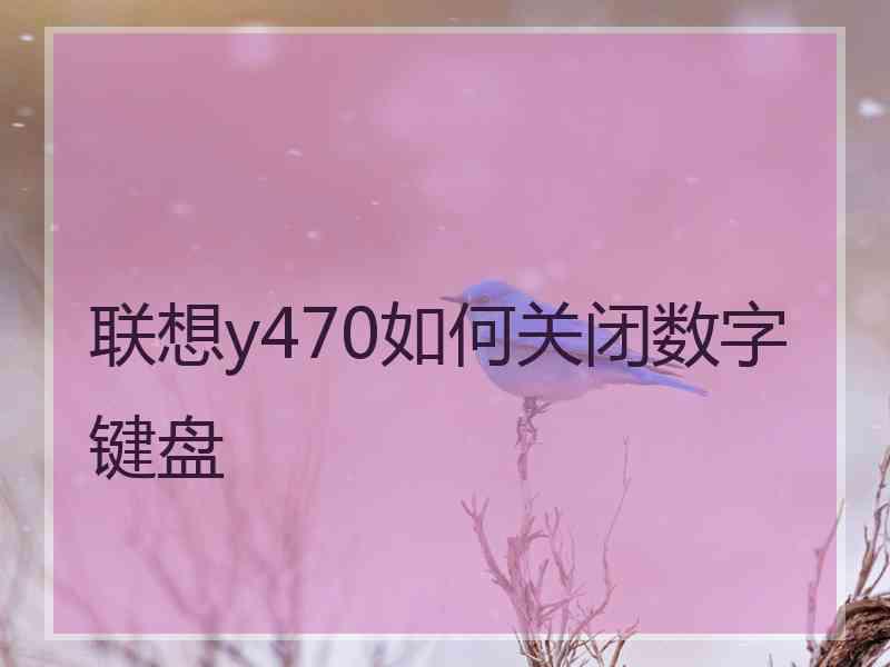 联想y470如何关闭数字键盘