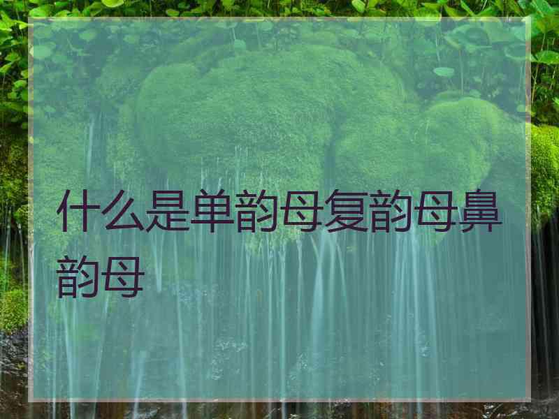 什么是单韵母复韵母鼻韵母