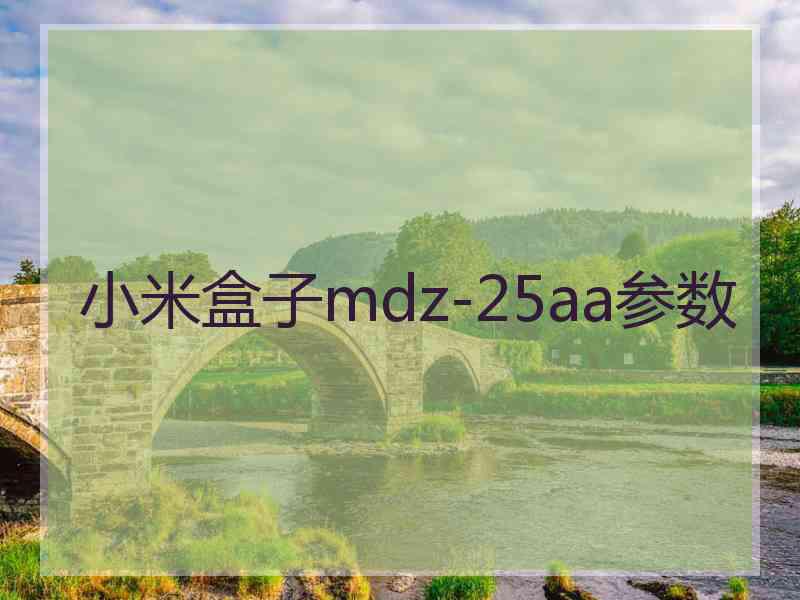 小米盒子mdz-25aa参数