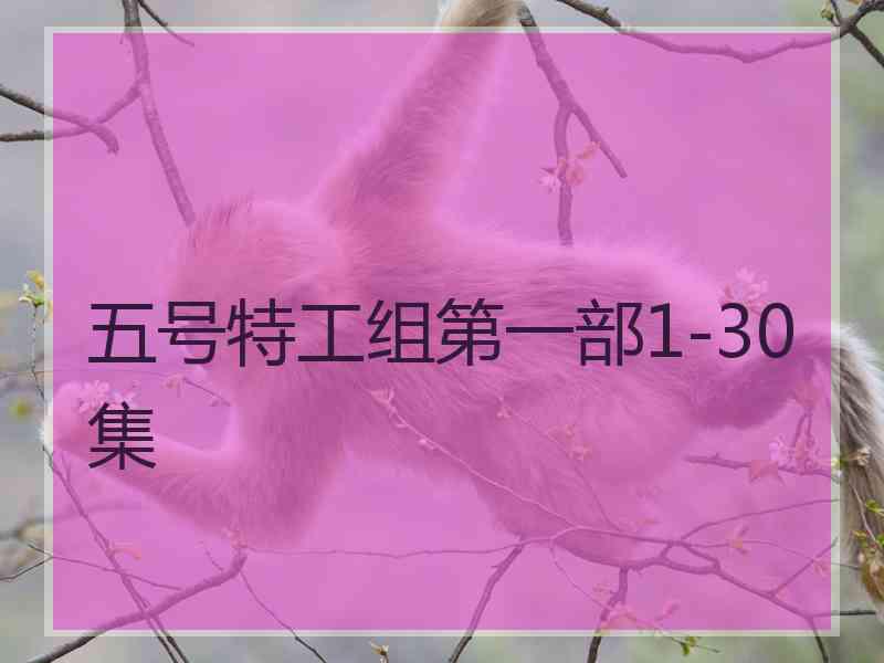 五号特工组第一部1-30集