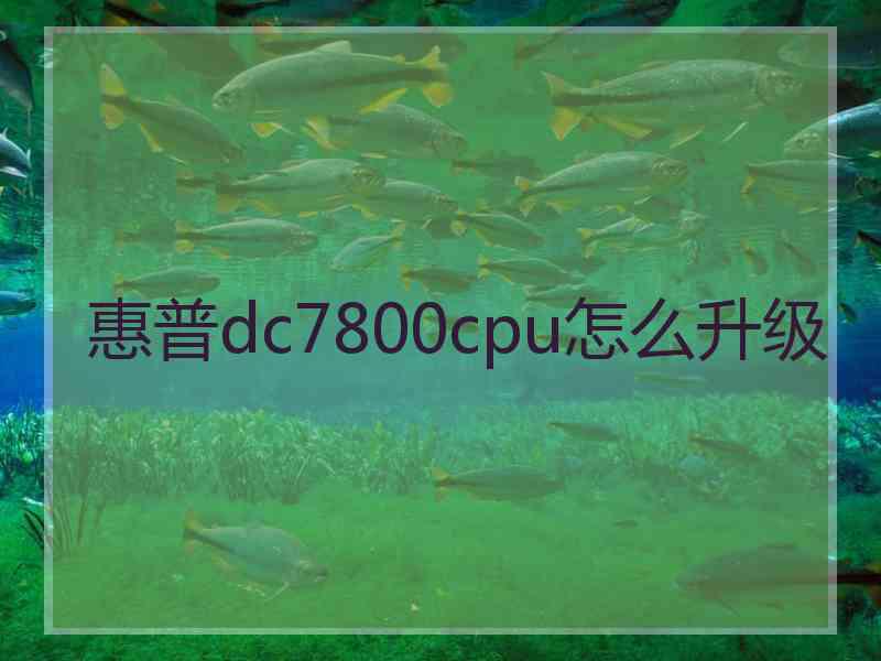 惠普dc7800cpu怎么升级