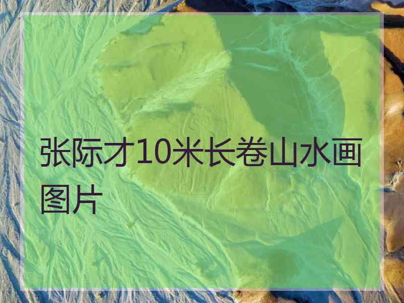 张际才10米长卷山水画图片