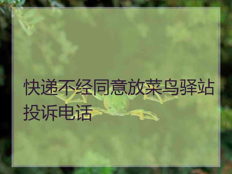 快递不经同意放菜鸟驿站投诉电话