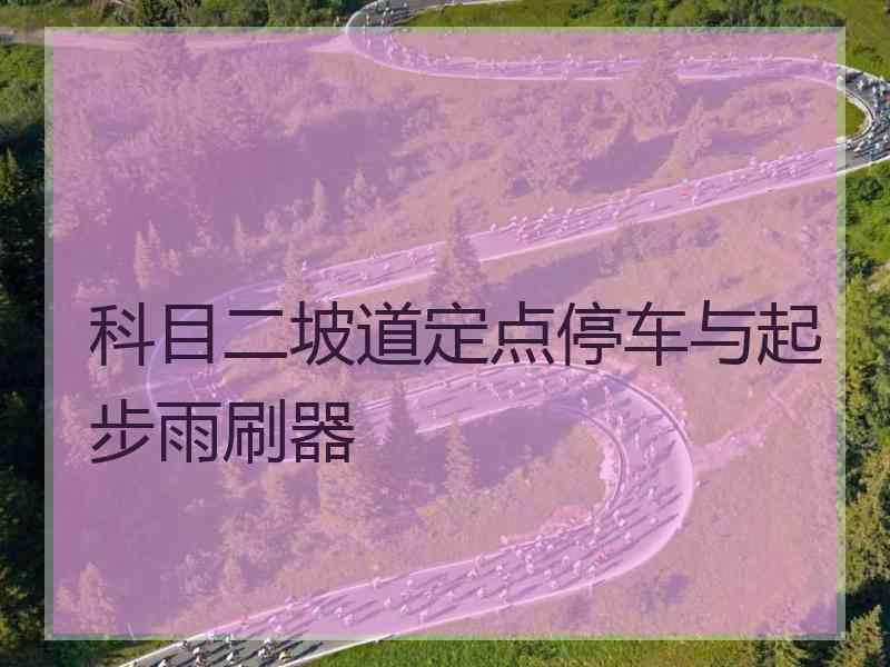 科目二坡道定点停车与起步雨刷器