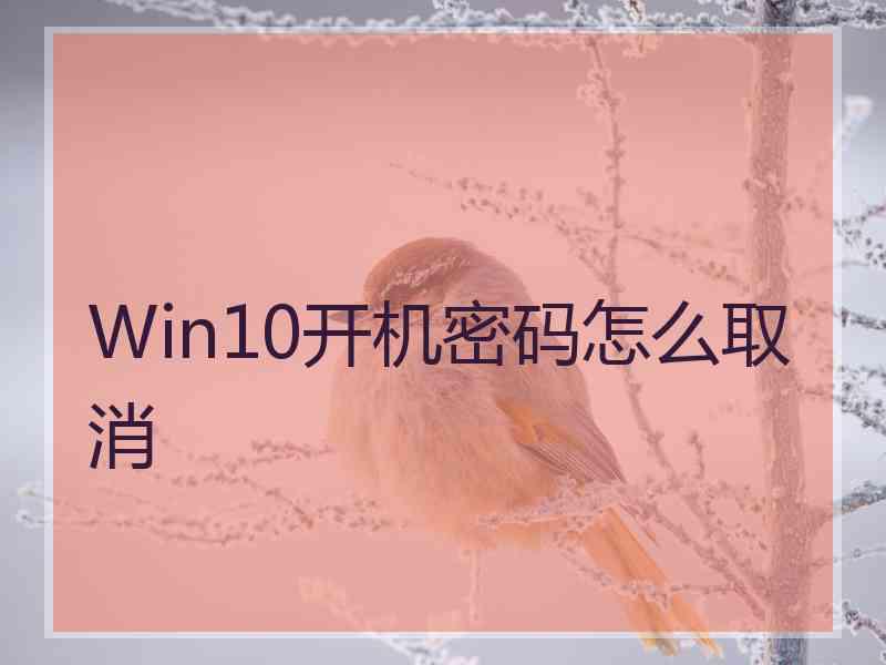 Win10开机密码怎么取消