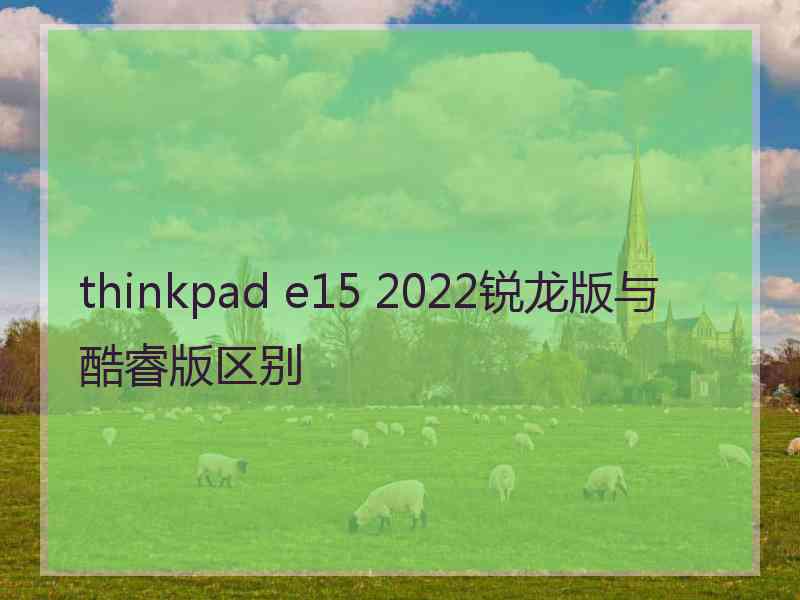 thinkpad e15 2022锐龙版与酷睿版区别