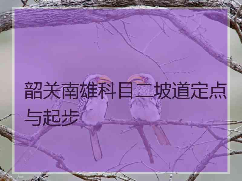 韶关南雄科目二坡道定点与起步