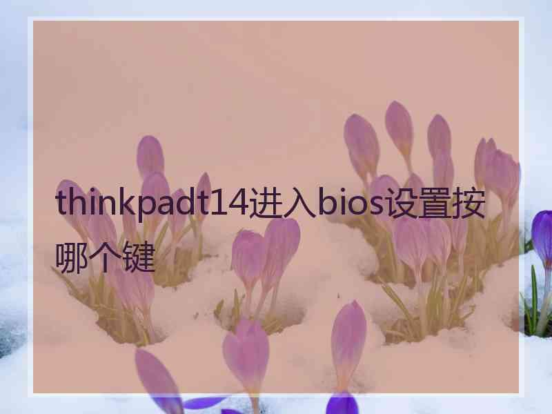 thinkpadt14进入bios设置按哪个键