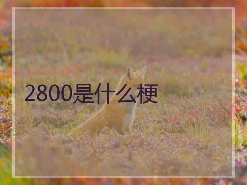 2800是什么梗