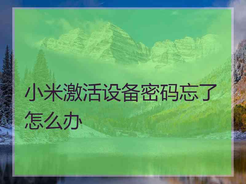 小米激活设备密码忘了怎么办