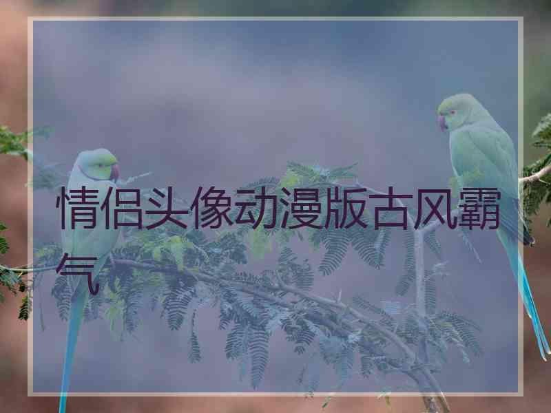 情侣头像动漫版古风霸气