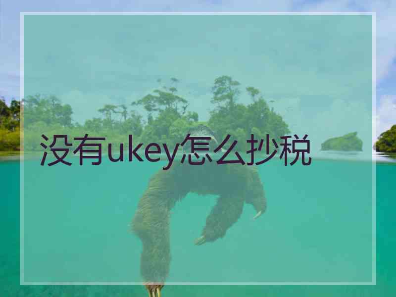 没有ukey怎么抄税